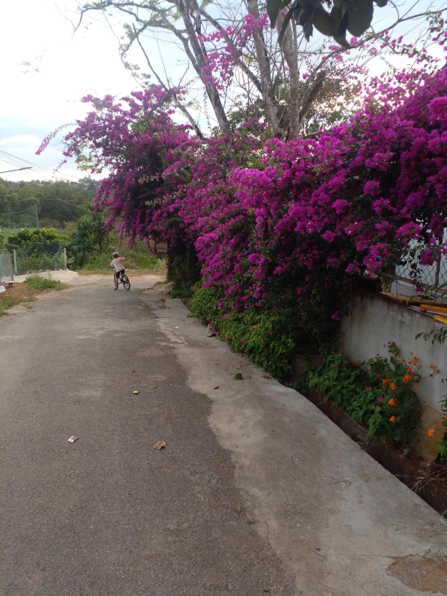 Ly'S Homestay Gia Nghia Екстер'єр фото