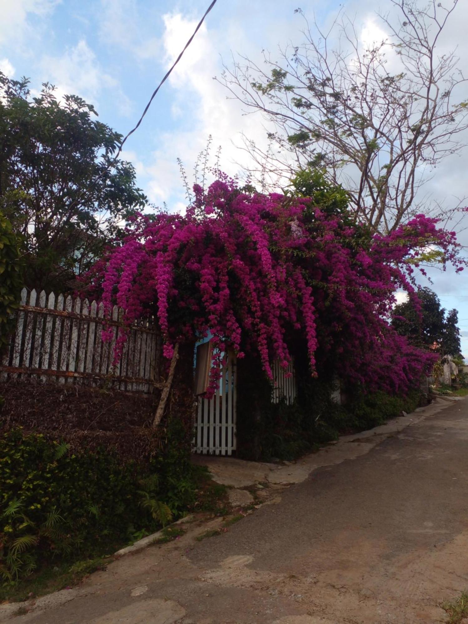 Ly'S Homestay Gia Nghia Екстер'єр фото